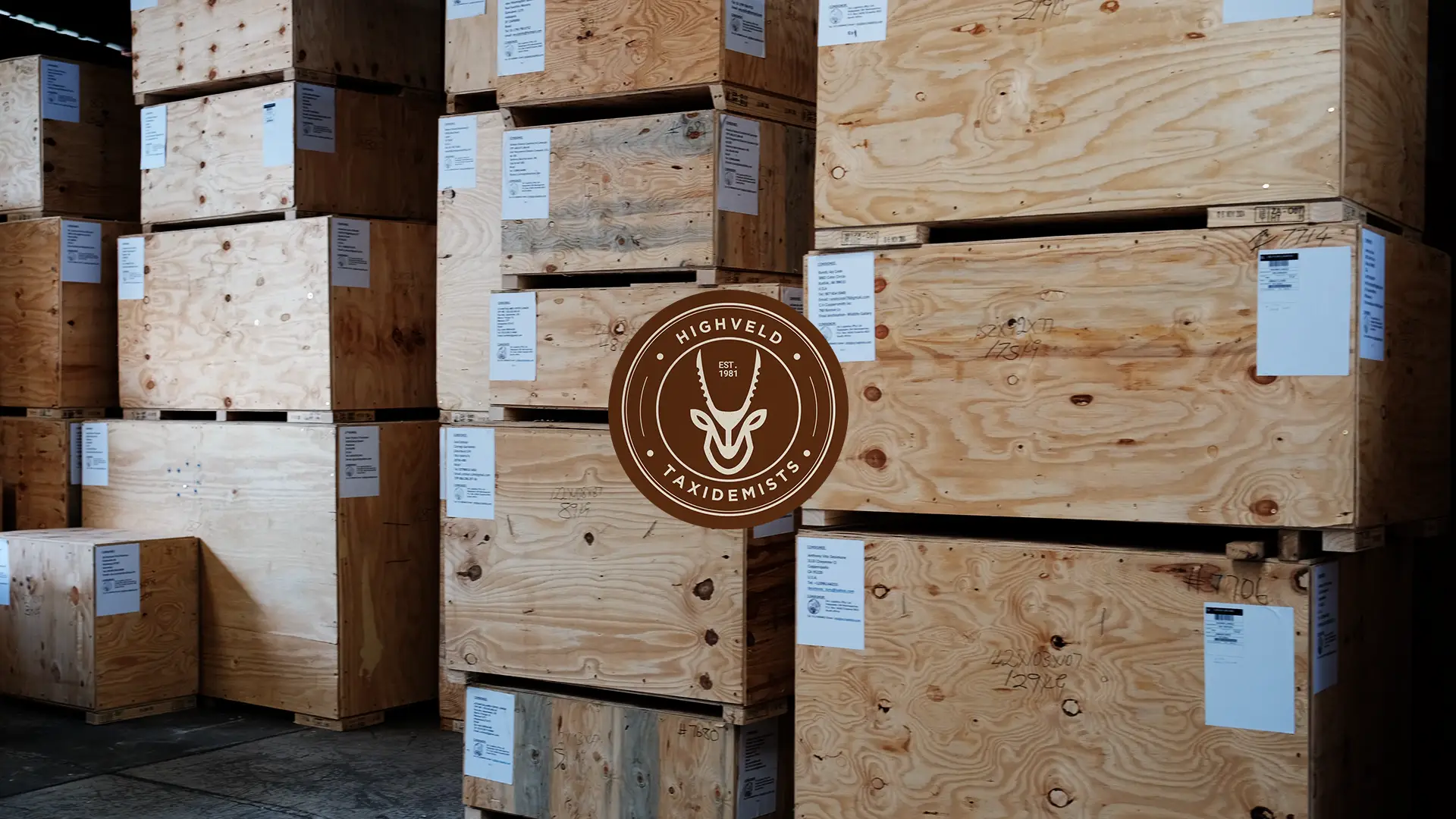 International trophy shipping crate